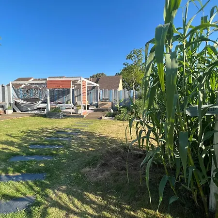 Villa Cap Ferret - 10pers - Piscine - Reve Au Mans